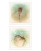 "The Sea III & Sea IV" 2-Piece Vignette by Sophie 6; Ready to Hang Framed Print; White Frame