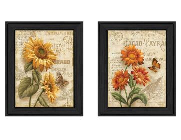 "Flowers Collection" 2-Piece Vignette By Ed Wargo; Printed Wall Art; Ready To Hang Framed Poster; Black Frame