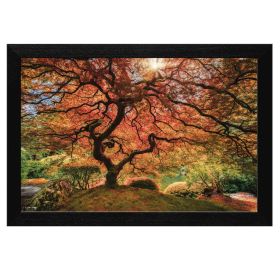 "First Colors of Fall" by Moises Levy; Ready to Hang Framed Print; Black Frame